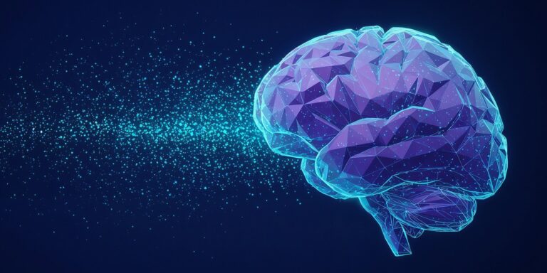 brain 9